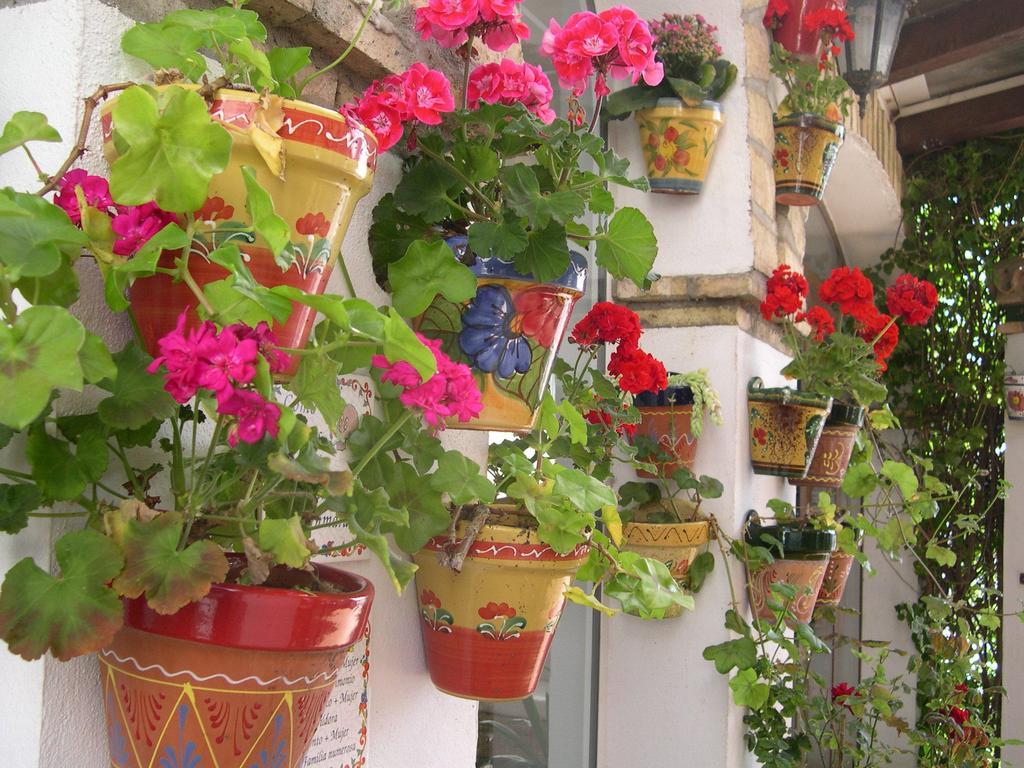 Hotel Cortijo Gallos 2*