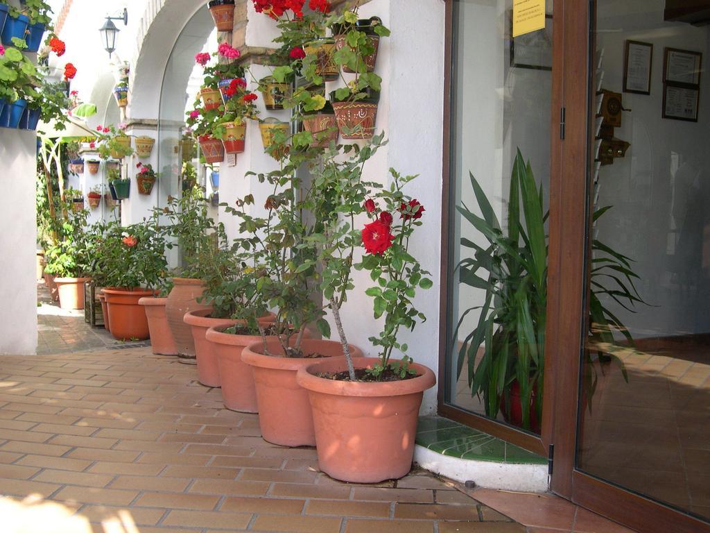 Cortijo Gallos Chiclana de la Frontera
