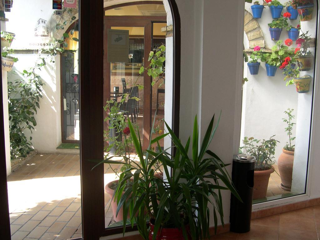 Hotel Cortijo Gallos
